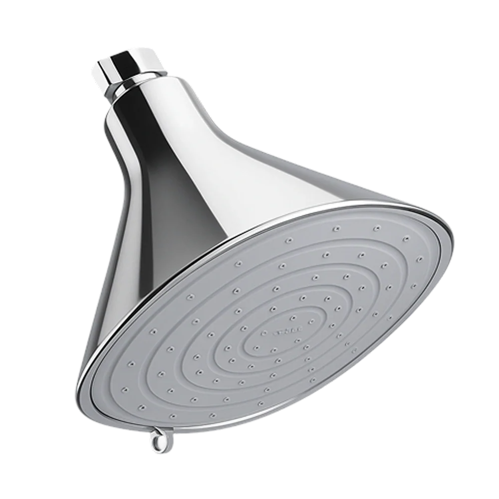 Canopy Filtered Showerhead